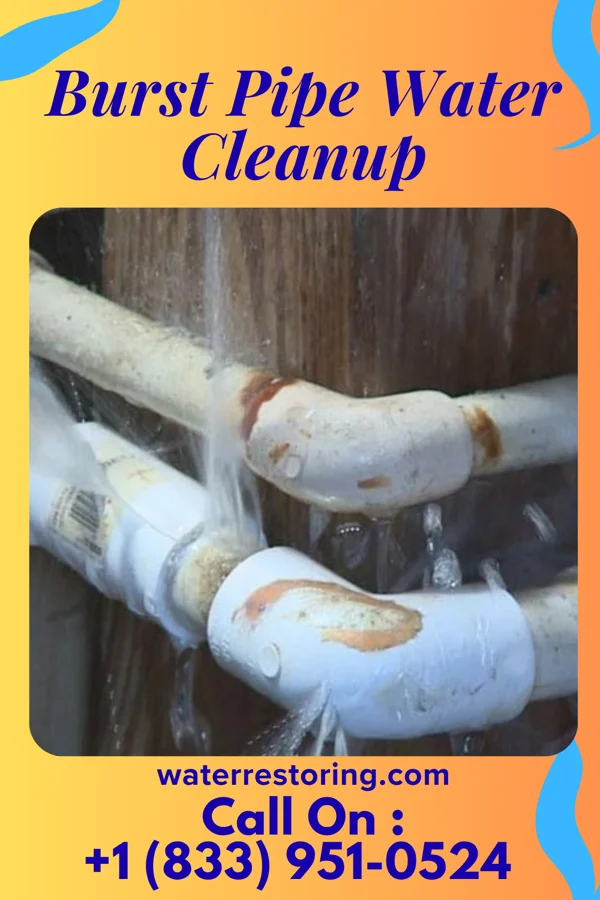 Burst Pipe Water Cleanup in Round Hill, VA