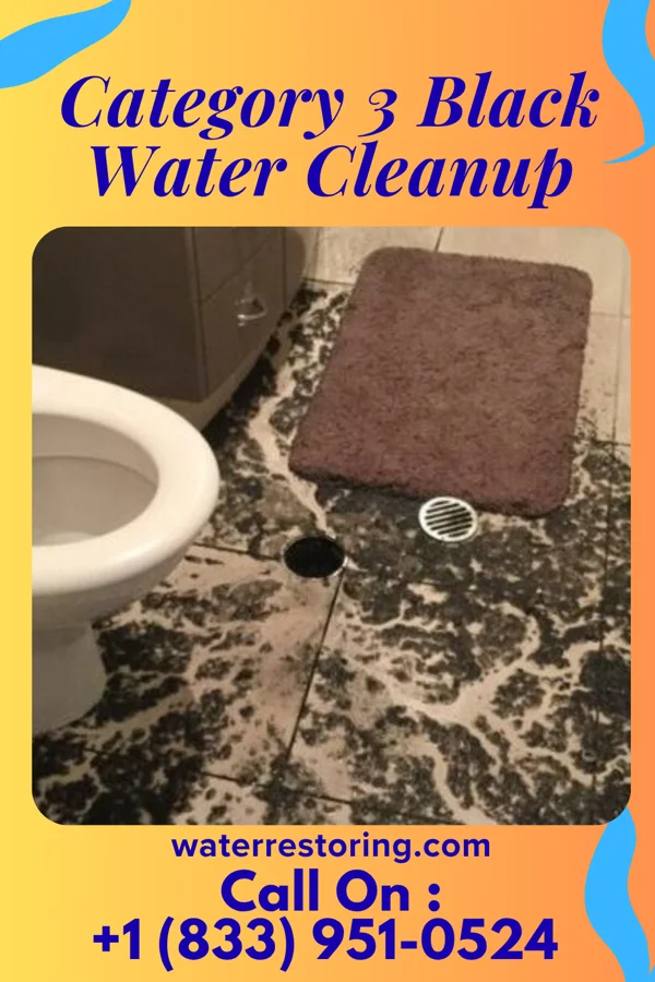 Category 3 Black Water Cleanup in Round Hill, VA