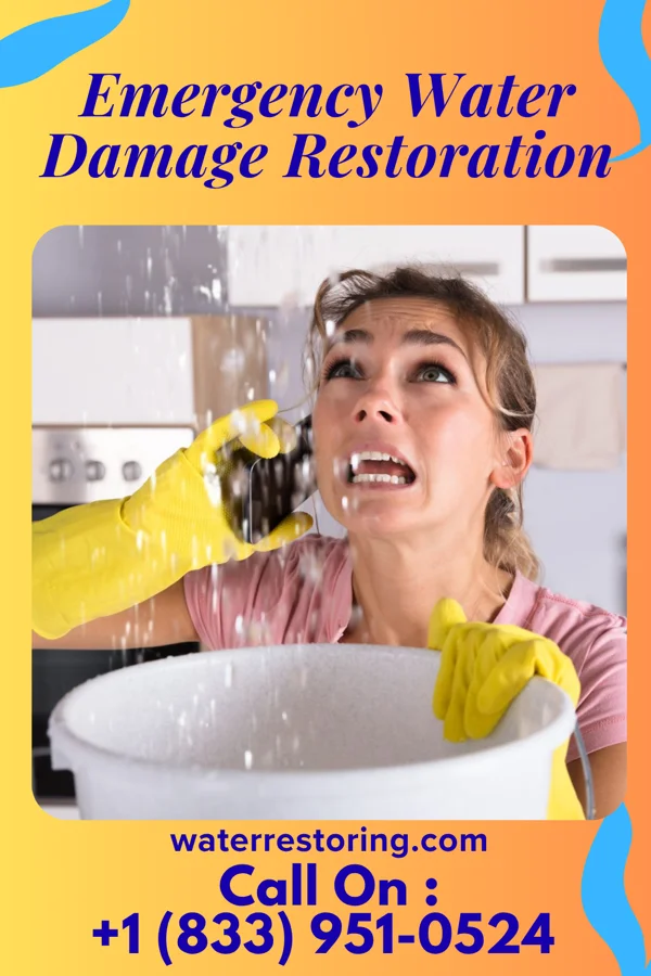 Emergency Water Damage Restoration in Round Hill, VA