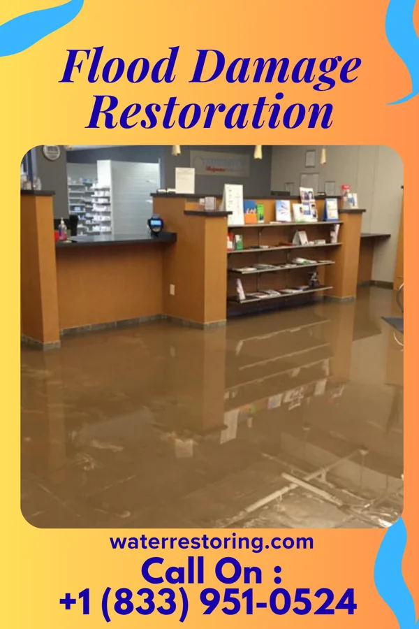 Flood Damage Restoration in Round Hill, VA